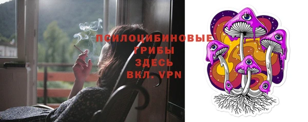 дурь Армянск