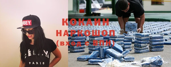 прущие грибы Арсеньев