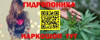 круглые Тверь