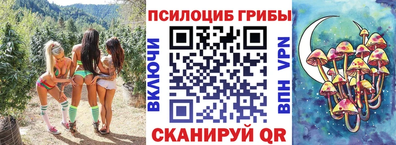 Псилоцибиновые грибы ЛСД Краснотурьинск