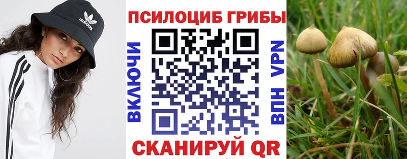 это официальный сайт  Краснотурьинск  omg маркетплейс  Галлюциногенные грибы Magic Shrooms  даркнет сайт 