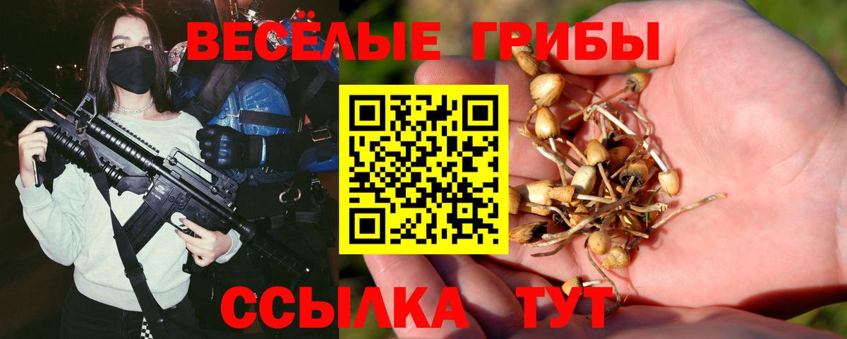 Галлюциногенные грибы Psilocybe  Вход с VPN  Краснотурьинск 
